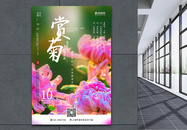 清新简洁重阳节赏菊花促销海报图片