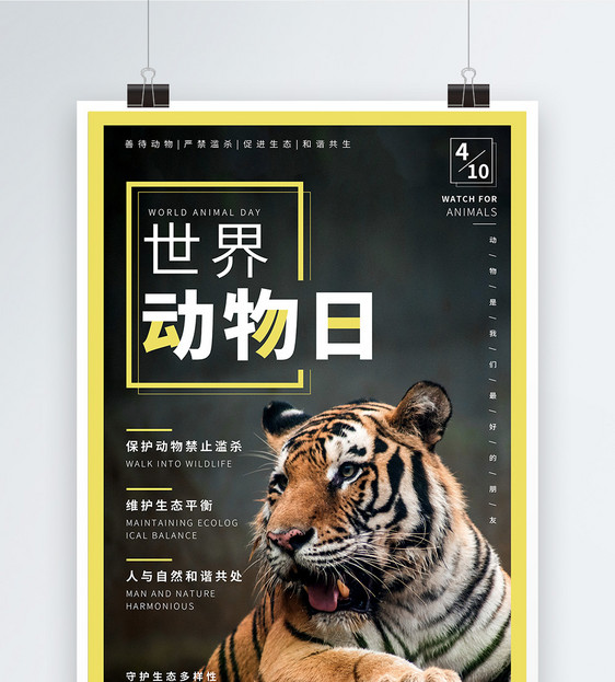 杂志风世界动物日宣传海报设计图片
