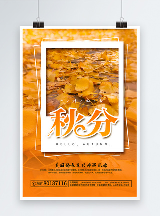 树叶落叶24节气秋分海报模板