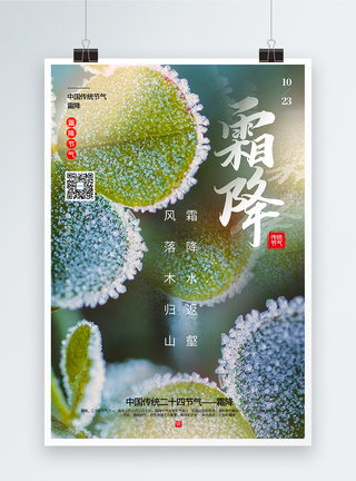 简洁霜降节气海报图片