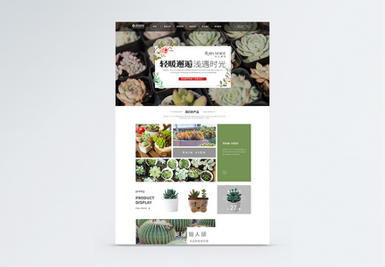 ui设计家居植物首页web详情页图片