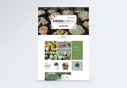 ui设计家居植物首页web详情页图片