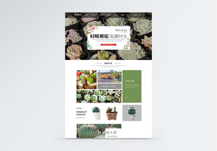 ui设计家居植物首页web详情页高清图片