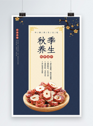 枣中式古典秋季养生海报模板