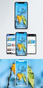 12月心情日签手机海报配图图片