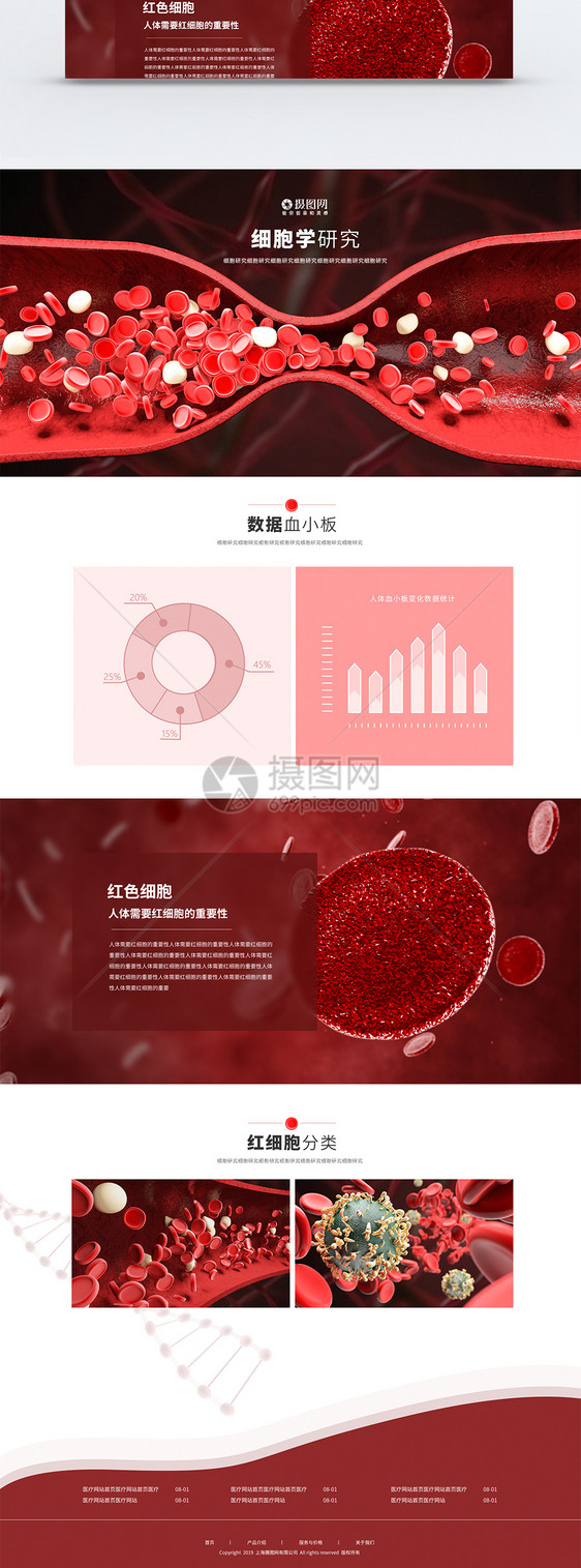 红细胞医学生物科技WEB官网首页图片