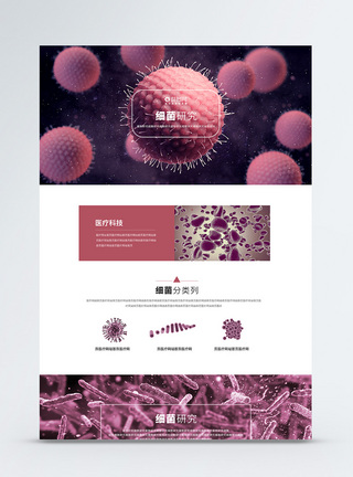 医疗科学网站细菌科学医疗web官网首页模板