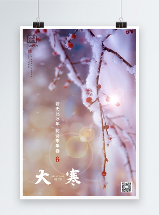 唯美雪景大寒节气海报图片