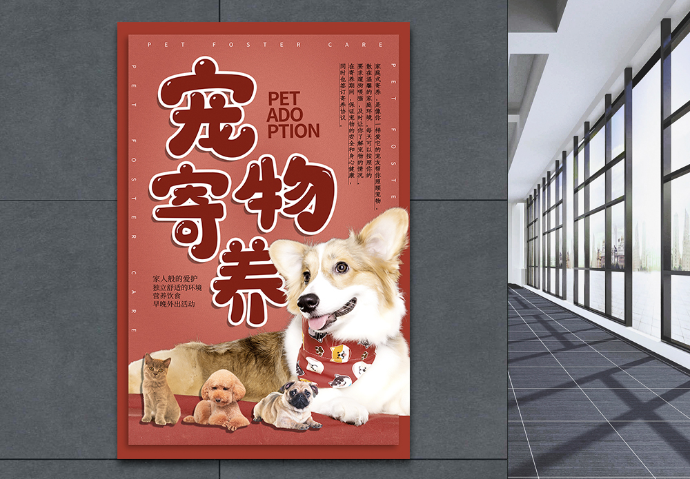 打盹的小猫可爱宠物寄养海报模板