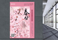 粉色桃花春分节气海报图片