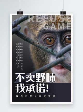 猴子大气不卖野味拒绝野味海报模板