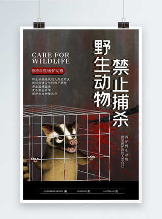 禁止捕杀野生动物公益海报图片