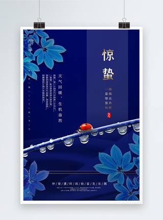 蓝色简约中国风惊蛰海报图片