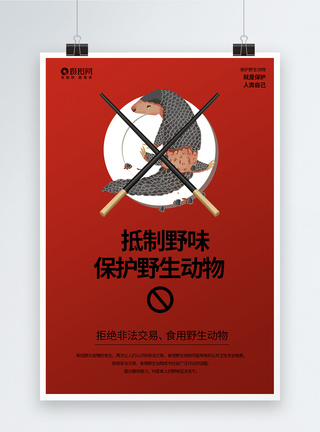 拒食野生动物系列海报3模板