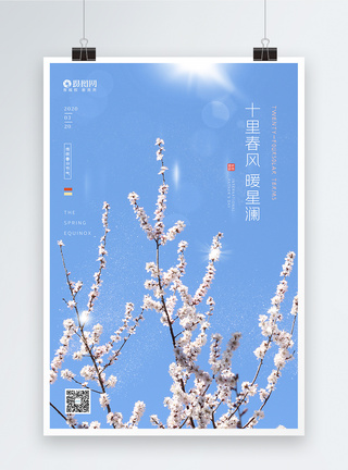 清新十里春风桃花春分节气海报图片