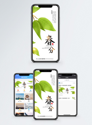 不负春光清晰简洁春分节气手机海报模板