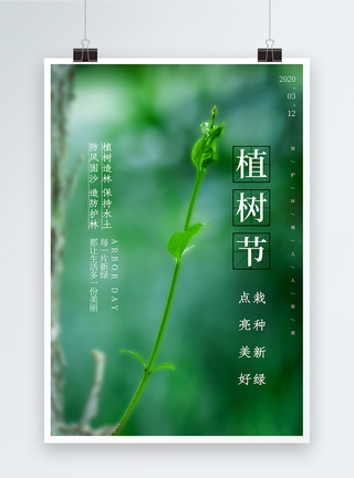 绿色简约植树节海报图片