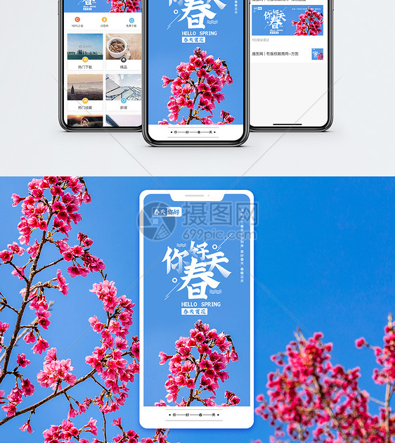你好春天赏花手机海报配图图片