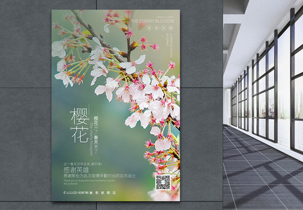 写实简约风樱花春季赏花宣传海报图片