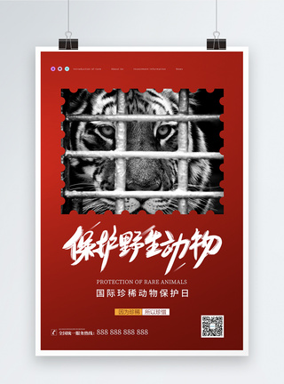 曼谷野生动物园简约国际珍稀动物保护日海报模板