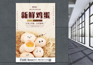 新鲜鸡蛋宣传促销海报模板图片