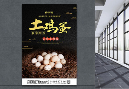 大气土鸡蛋宣传海报模板图片