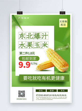 绿色有机玉米促销海报图片