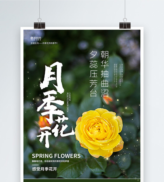 春季赏花去海报设计图片