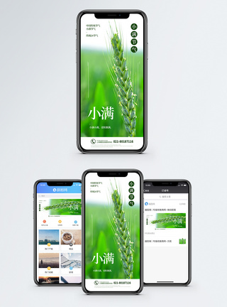 小满节气宣传海报小满节气手机海报配图模板