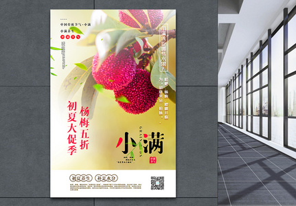 杨梅促销小满节气水果促销系列海报高清图片