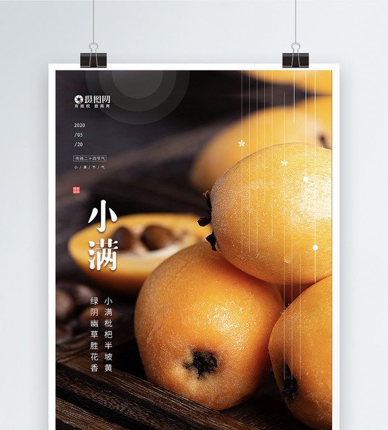 枇杷应季水果小满节气海报图片