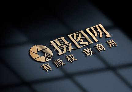 商标logo样机展示素材图片