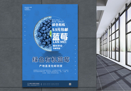 有机蓝莓促销大气拼接宣传海报图片