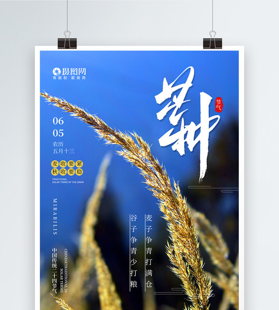 简约中国风芒种节气宣传海报图片