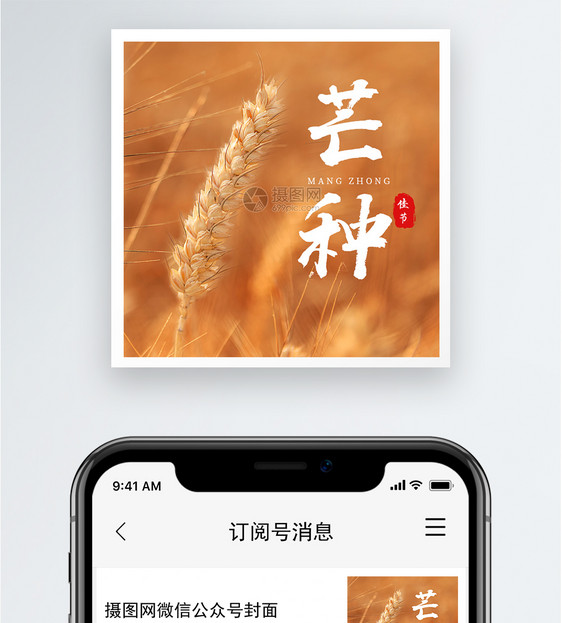 芒种公众号小图图片