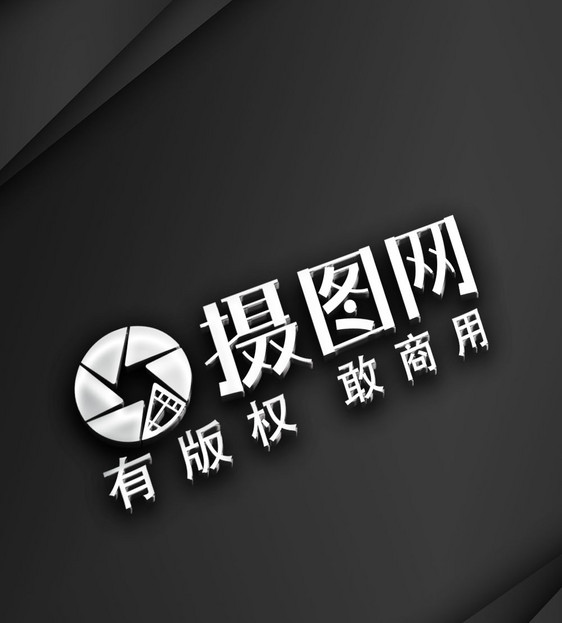 LOGO烫银立体样机模板图片