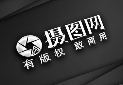 LOGO烫银立体样机模板图片