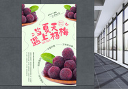 夏季新鲜水果杨梅海报图片