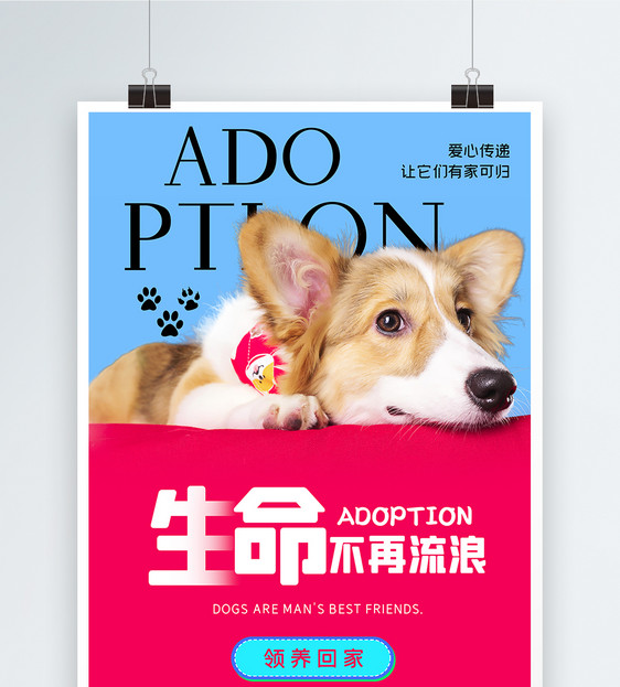 领养宠物公益海报设计图片