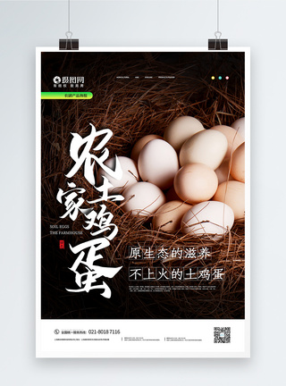 农产品土鸡蛋宣传海报图片