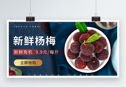 新鲜杨梅夏季水果促销宣传展板图片