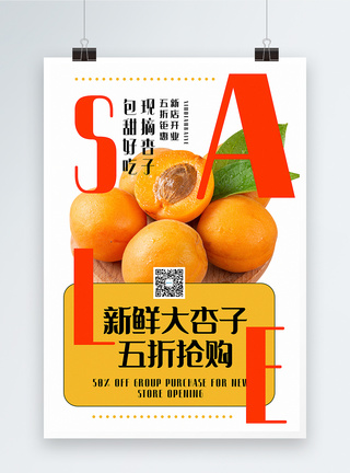 新鲜杏子水果促销海报图片
