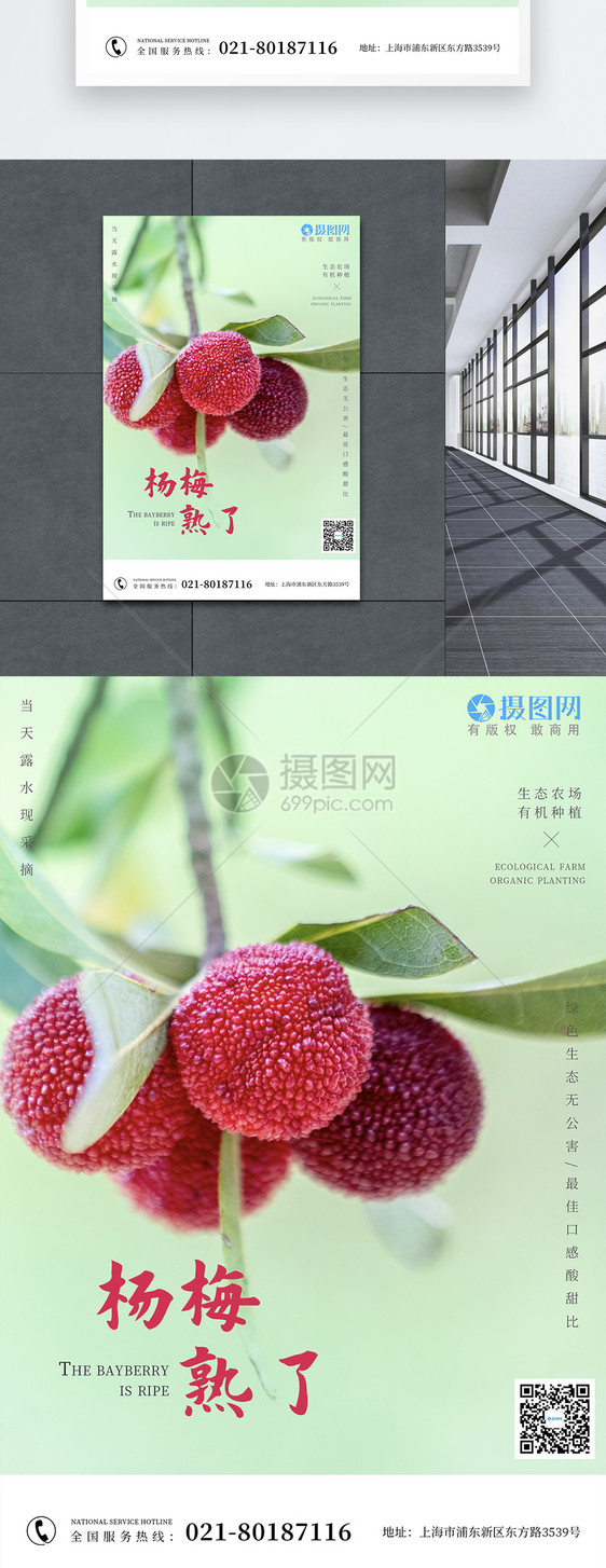 夏日夏季小清新水果杨梅限定海报图片