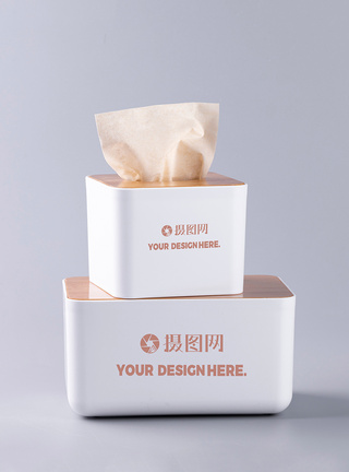 米线餐厅家用卫生抽纸盒展示样机模板