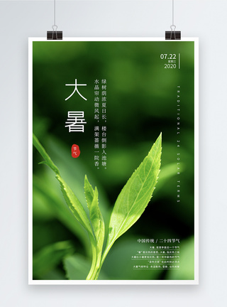 姜苏茶绿色大暑24节气海报模板
