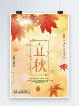 黄色落叶黄色枫叶中国传统二十节气之立秋宣传海报设计模板