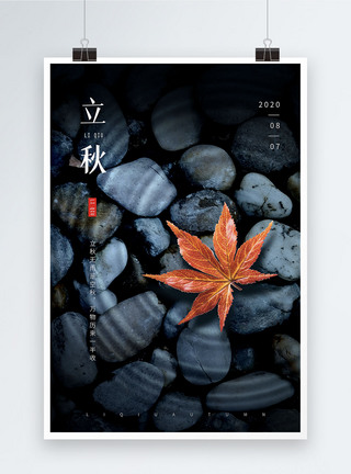 立秋节气枫叶海报图片