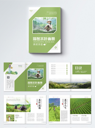 感恩节海报清新绿色茶叶宣传画册整套模板