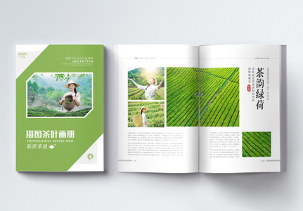 清新绿色茶叶宣传画册整套图片