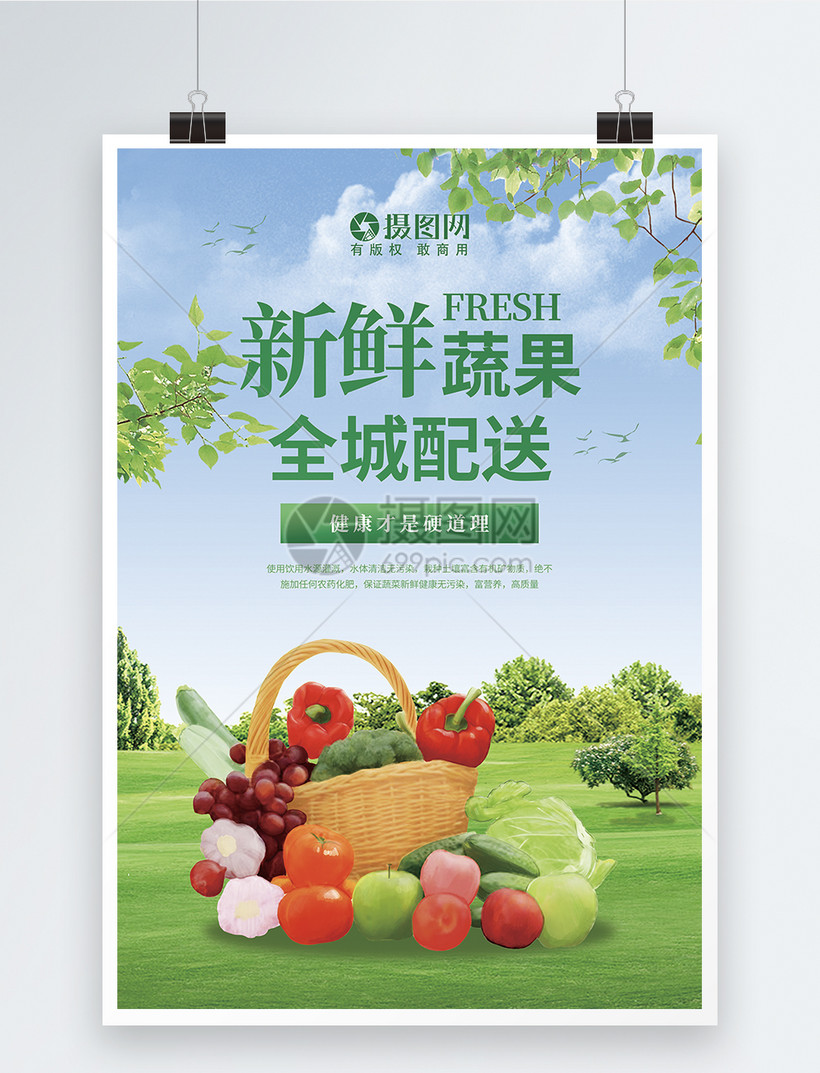 新鲜蔬果全城配送促销海报